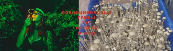 соль курить ск Белокуриха