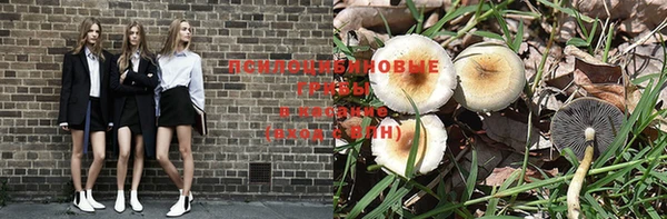 соль курить ск Белокуриха