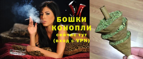 соль курить ск Белокуриха