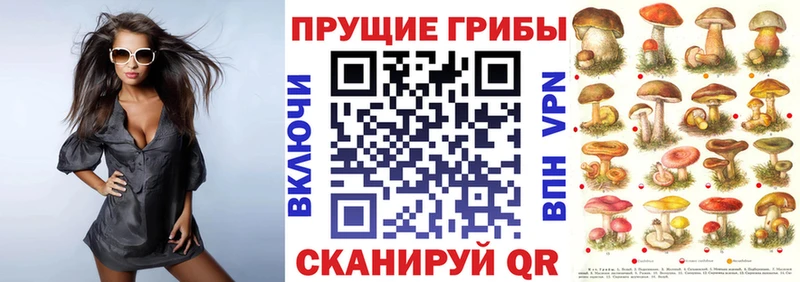 OMG ССЫЛКА  Дагестанские Огни  Галлюциногенные грибы мухоморы  купить наркоту 